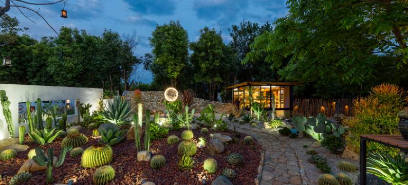 大理夏澍咖啡酒店图片