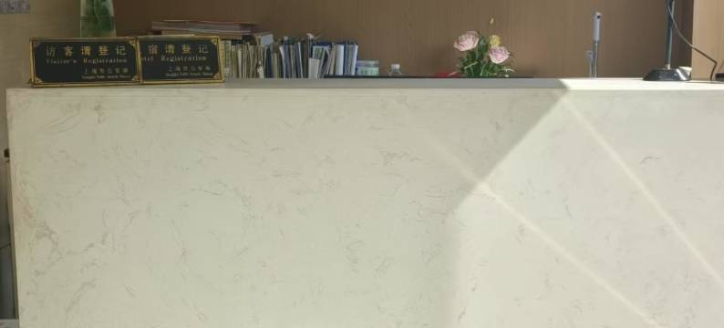 铂悦酒店(上海真如地铁站环宇城店)图片
