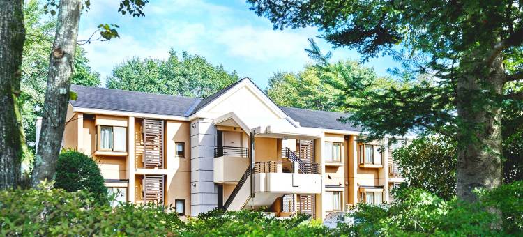 东急假期 轻井泽(TokyuVacations Karuizawa)图片