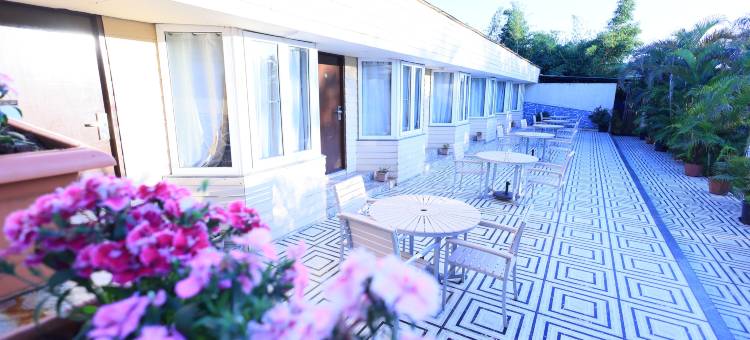 Hotel King Garden图片