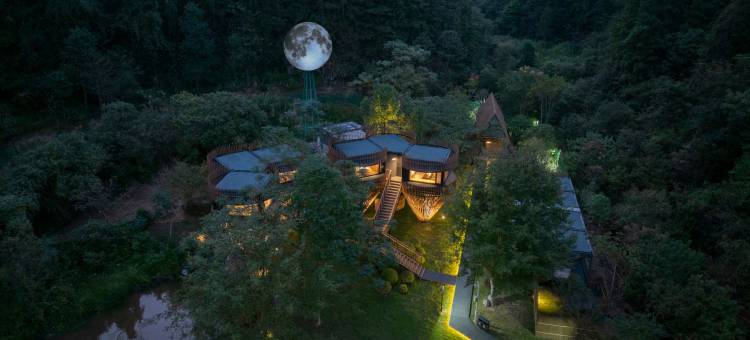 景德镇美集•观山月宠物主题酒店图片