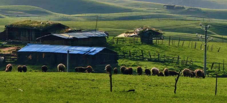 特克斯琼库什台云牧初琼民宿图片