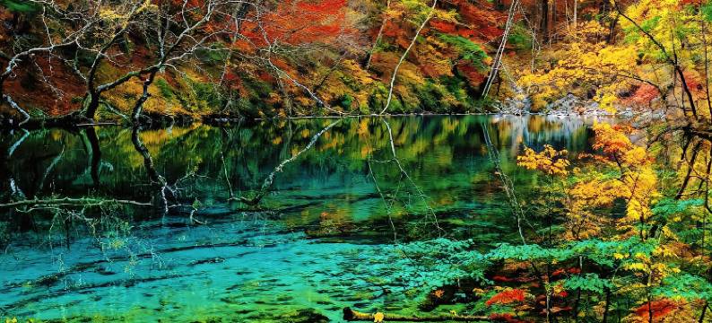 野隐·山居民宿(九寨沟风景区游客中心打卡点店)图片