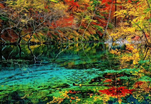 野隐·山居民宿（九寨沟风景区游客中心打卡点店）外景图