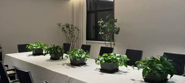 恒庭轩民宿图片