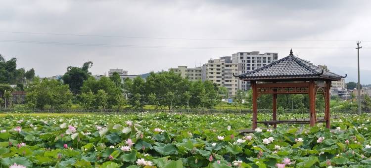 荷塘月色民宿(翁源湖心坝店)图片