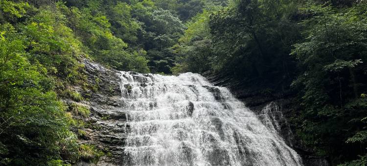 三清山乡居逸味民宿图片