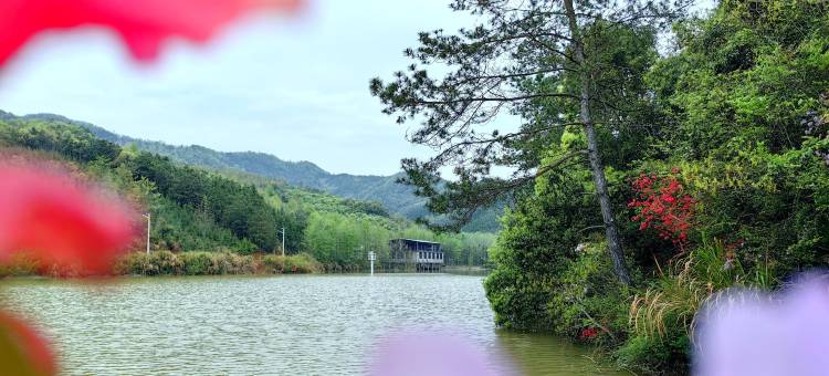 东至松林农场农家乐图片