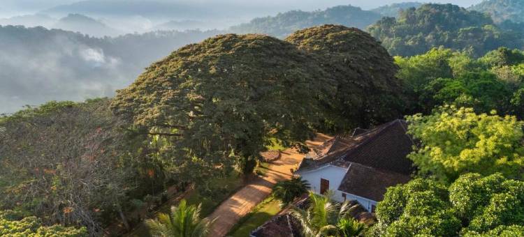 克洛庄园·七天使(Clodagh Manor House by Seven Angels)图片