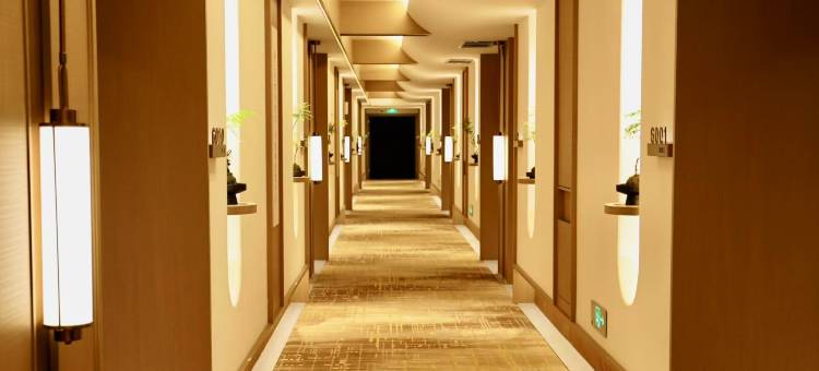 商丘锦尚居氧沐酒店(商丘职业技术学院万达广场店)图片