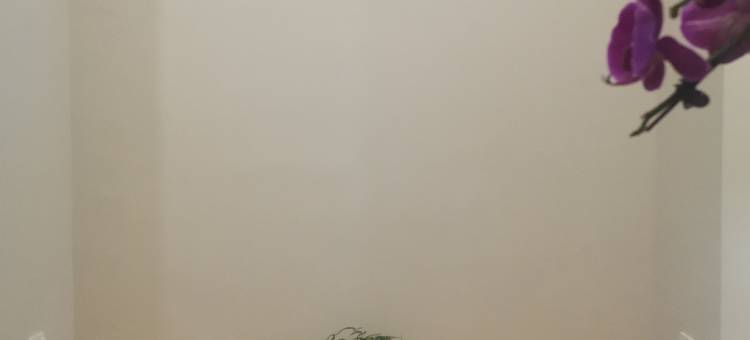 宜宾市南溪区轻居精品酒店图片