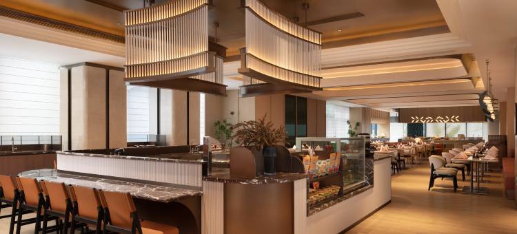 郑州航空港希尔顿花园酒店图片