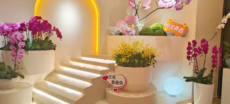 合肥兰花丽呈酒店(金大地1912新粮仓店)图片