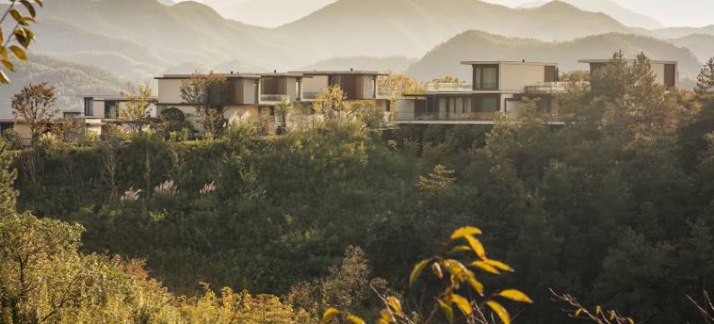 安吉桃源里酒店图片