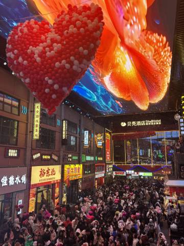 贝壳酒店(安阳仓巷街景区北大街店)图片