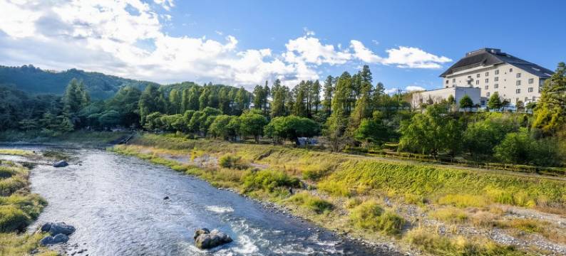 青梅龟之井酒店(KAMENOI HOTEL OME)图片