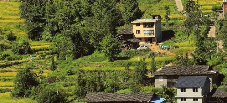 三只猫青年旅社(三明沙县步行街金鼎城店)图片