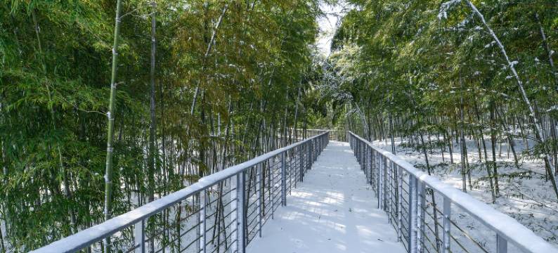 常州紫云玄清酒店图片