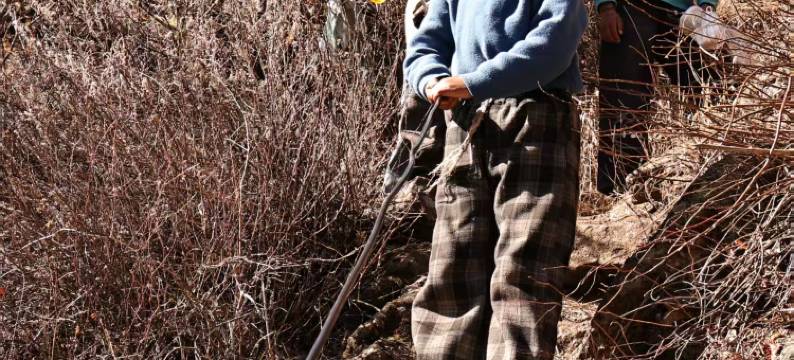 仓央·度假酒店图片