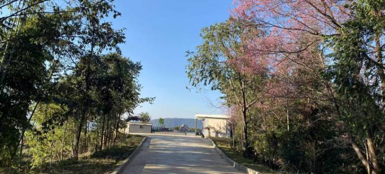 勐海百润庄园图片