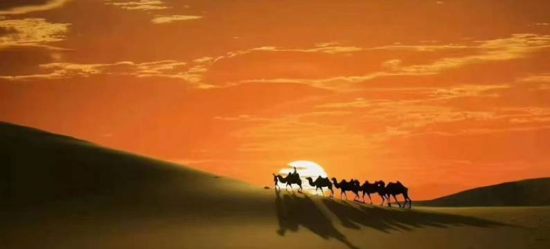 星耀大地·沙漠观星露营基地图片