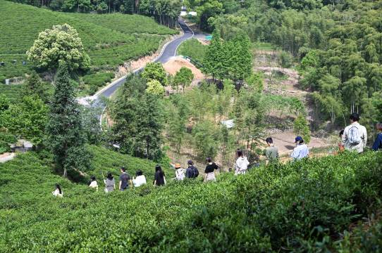 阿那亚·莫村旅馆图片