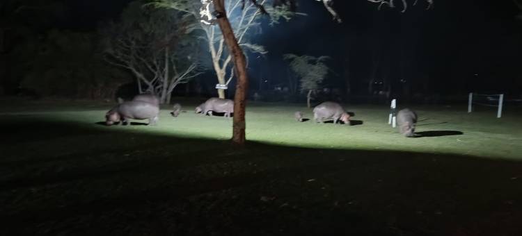 纳瓦沙湖乡村俱乐部旅馆(Muthu Lake Naivasha Country Club, Naivasha)图片