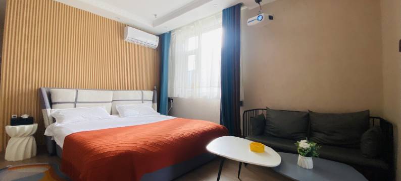 兰州泺派公寓(高铁西客站店)图片