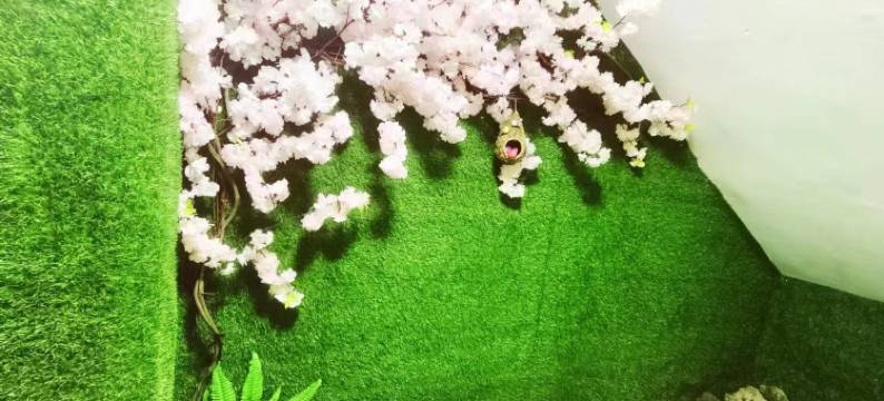 长白山兰庭小筑客栈(长白山店)图片