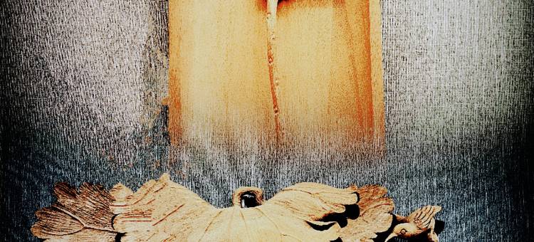 雅安鹿鸣民宿图片