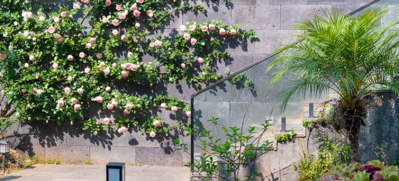 大理浣纱月·花园美宿(古城南门店)图片