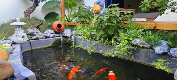 吾乡居潮汕庭院民宿(汕头高铁站店)图片