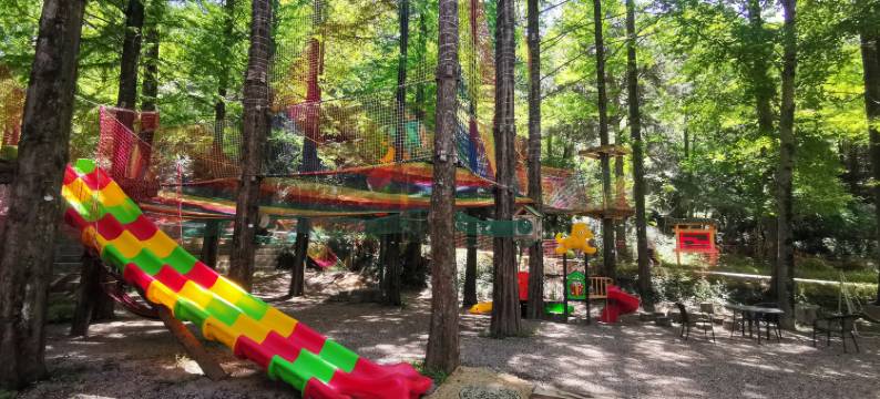 天水豪兴秦邑酒店图片