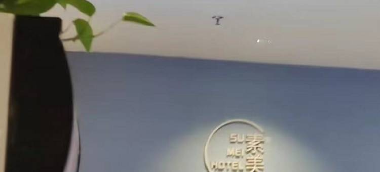 素美殿影酒店(信阳高铁东站店)图片