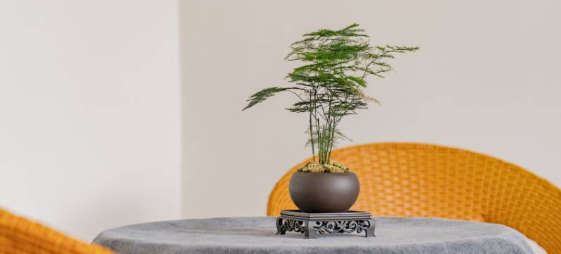 西双版纳景洪城悦·日月吉祥旅居民宿(嘎洒机场高铁站店)图片