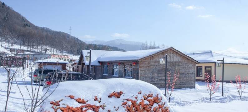 雪谷友家客栈(中国雪谷风景区店)图片