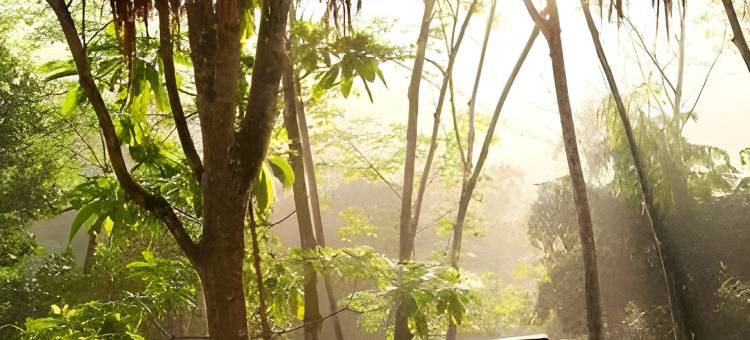 Guava House 番石榴房子由 Serendipity  收藏(Guava House by the Serendipity Collection, Mawanella)图片