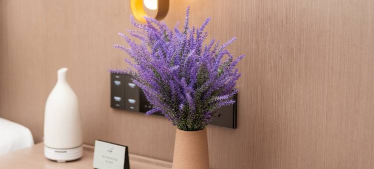 麗枫酒店(佛山丹灶店)图片