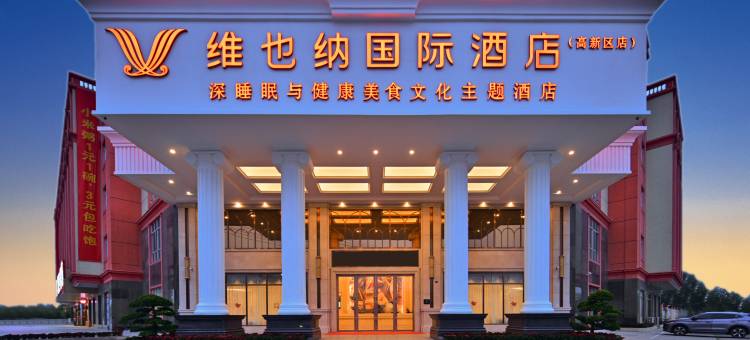 阳江维也纳国际酒店图片