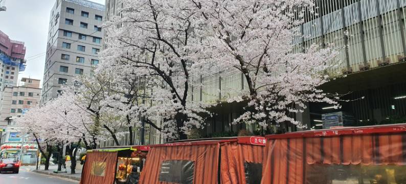 釜山商务酒店(Busan Business Hotel)图片