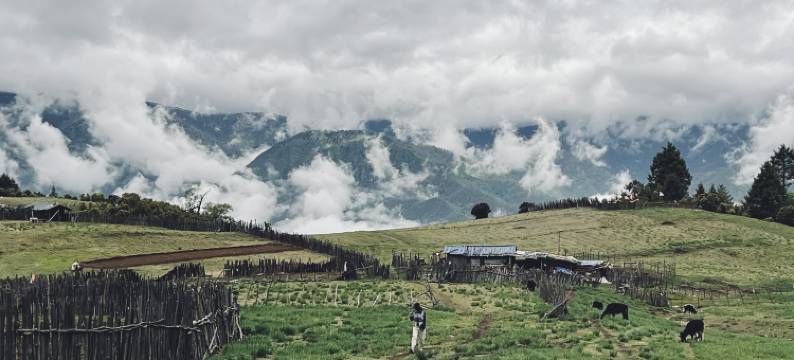 香格里拉阔折客栈图片