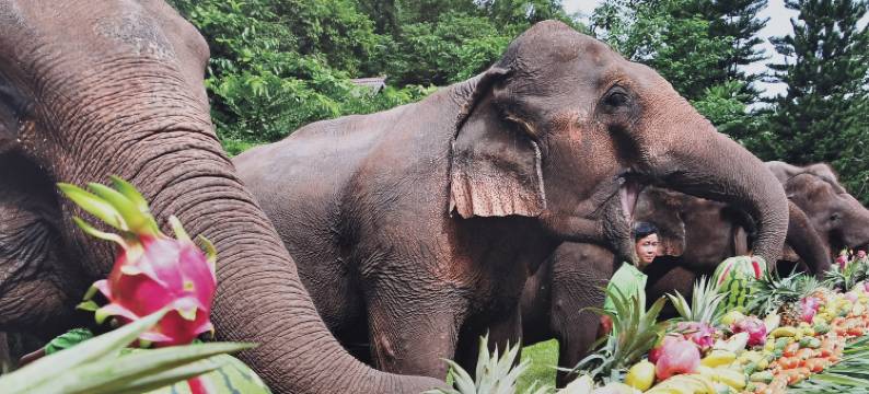悠度中青年旅舍(泼水广场店)图片