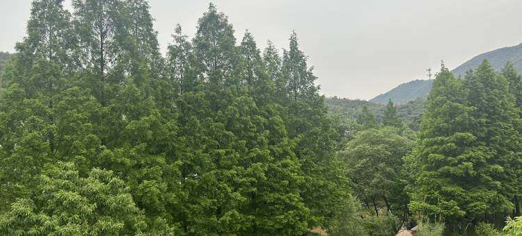 安吉云安处民宿图片