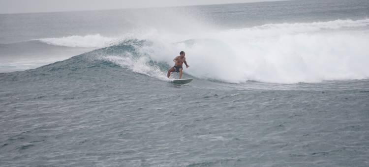 Avanti Surf & Stay图片