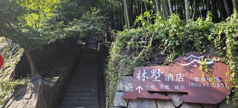 林墅酒店(莫干山景区内荫山街换乘处店)图片