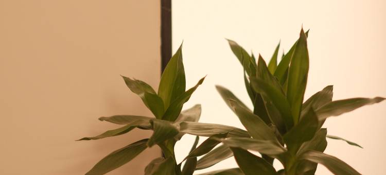 世丽美宿(广州中山大学附属第一医院东山口地铁站店)图片