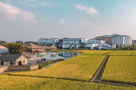 乌镇乌村稻舍乡村酒店图片