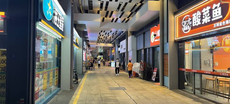 半夏公寓(万科金色领域礌岗地铁站店)图片