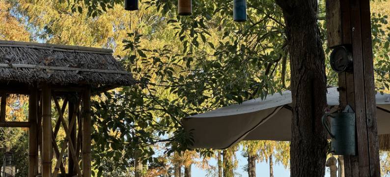 犁桥船仓青年营民宿图片