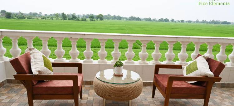 蓝毗尼五行酒店(Lumbini Five Elements Hotel)图片